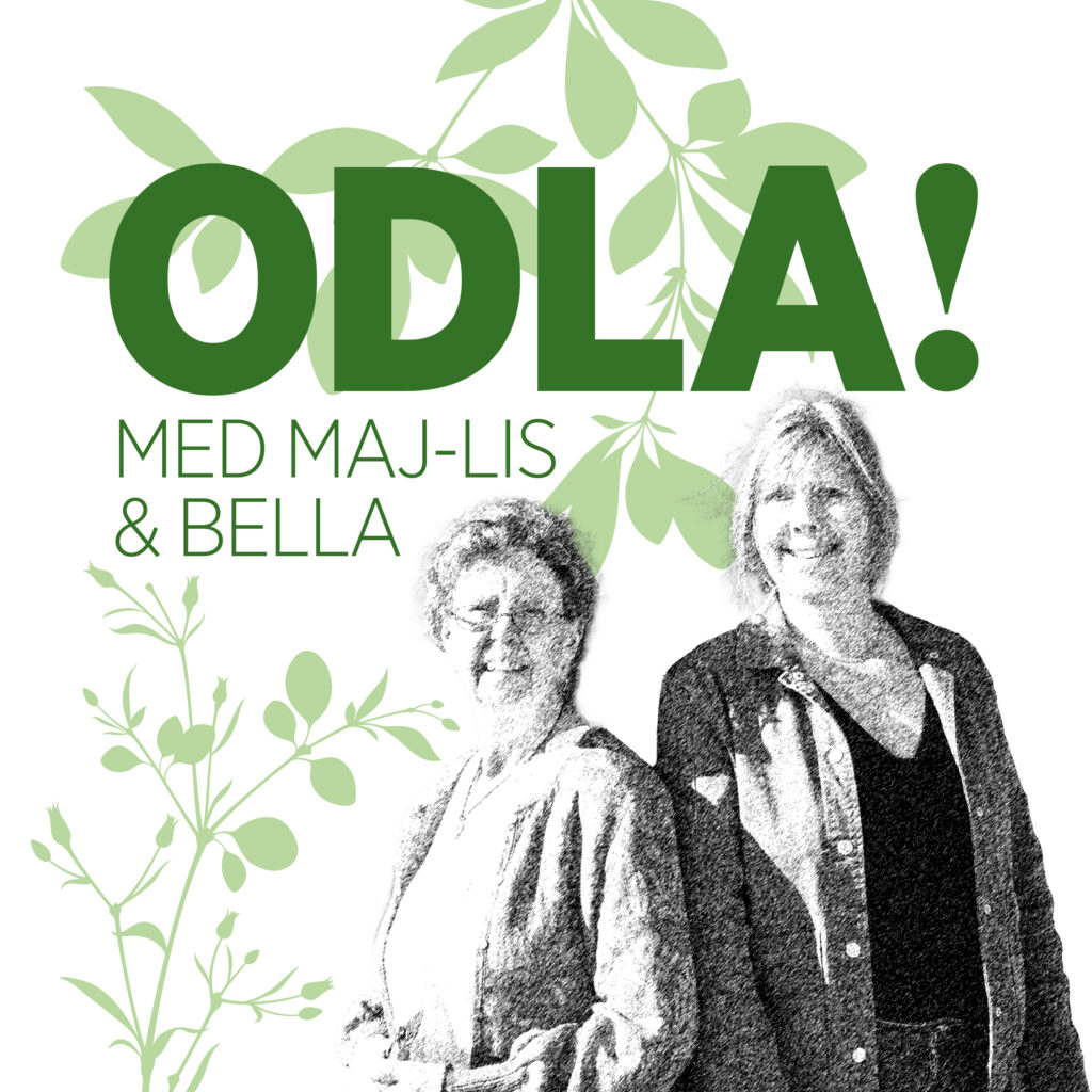 ODLA! logo